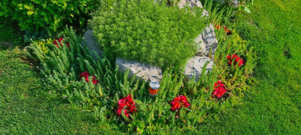 Apartments Villa Krasa Ловран Экстерьер фото